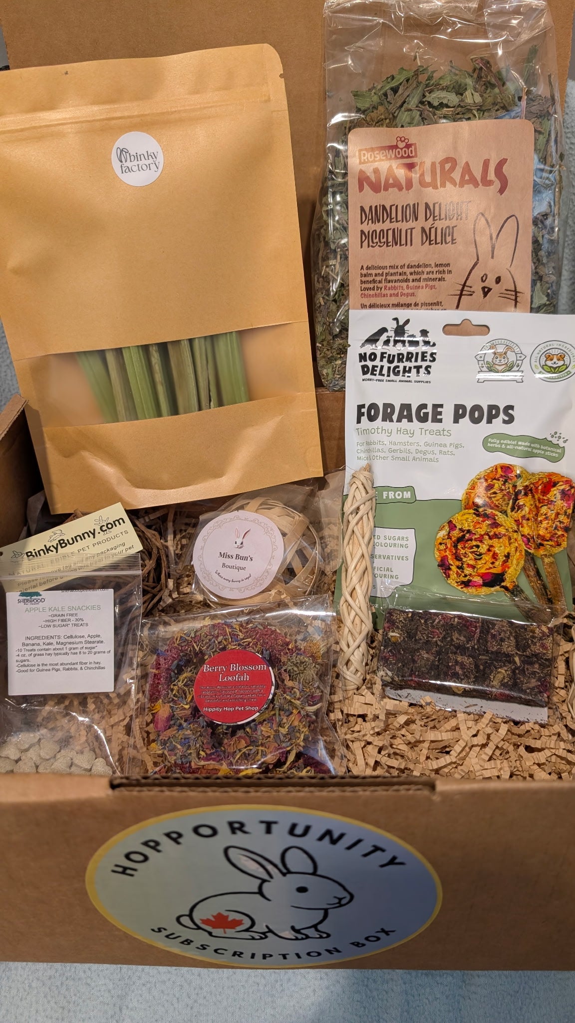 What's Inside Canada's Rabbit Subscription Box — Hopportunity Box