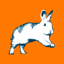 Binky Bunny - Hopportunity Subscription Box