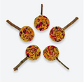 Forage Pops