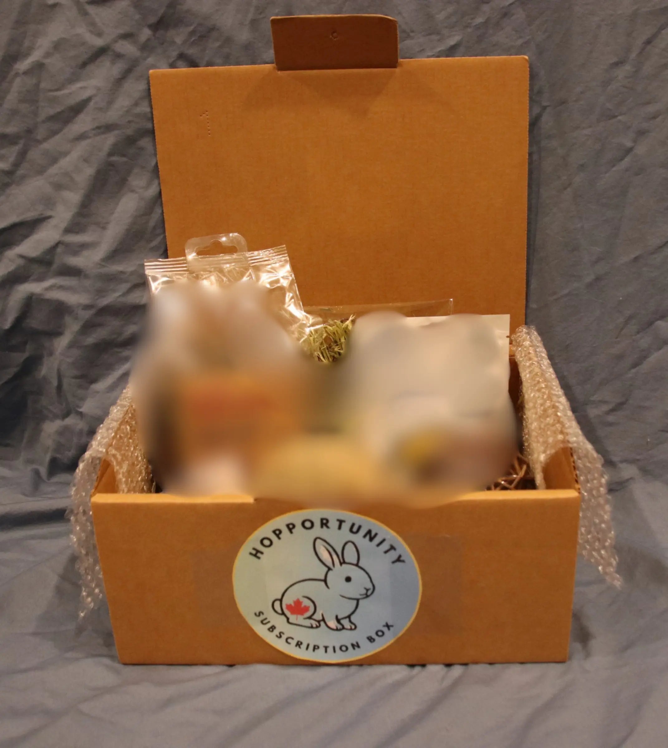 Hopportunity Box Hopportunity Subscription Box